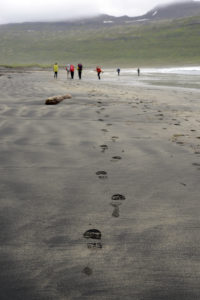2015-08-12_29803-Hornstrandir-Bolungarvik