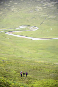 2015-08-12_29881-Hornstrandir-Bardsvik