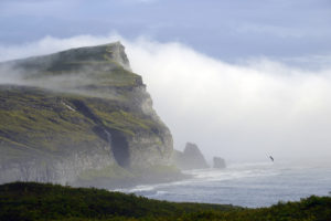 2015-08-13_29956-Hornstrandir-Bardsvik