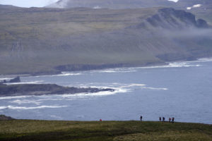 2015-08-13_30242-Hornstrandir-Scogliera