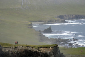 2015-08-13_30269-Hornstrandir-Scogliera