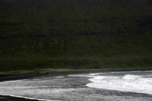 2015-08-14_30665-Hornstrandir-Hornvik