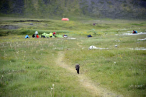 2015-08-15_31182-Hornstrandir-Hloduvik