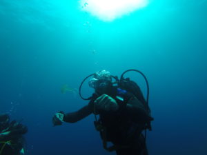 DCIM100GOPRO