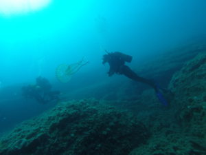 DCIM100GOPRO