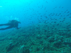 DCIM100GOPRO