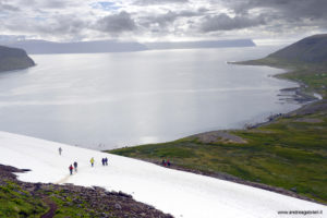 2015-08-16_31467-Hornstrandir-Hesteyrarfjordur