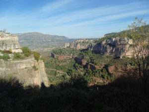 DSC05200