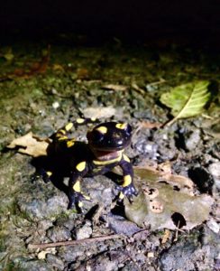 IMG-20151108-WA0024
