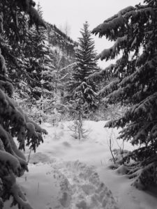 IMG-20160104-WA0003