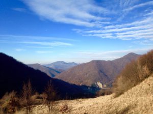 IMG-20160125-WA0055