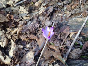 IMG-20160125-WA0058