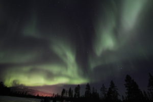 IMG_1404