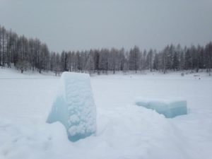 IMG-20160201-WA0058