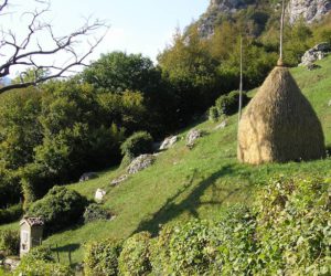 Agricoltura in montagna. Fonte: www.ersaf.lombardia.it