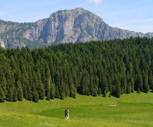Parco Nazionale Dolomiti Bellunesi. Fonte: dolomitipark.it