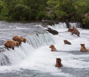 alaska_viaggio_8712