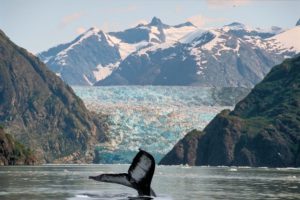 viaggio_in_Alaska_11261