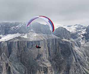 Fonte immagine: www.alfioghezzi.com