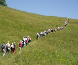Fonte immagine: parcomonviso.eu