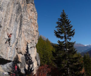 Arrampicata in falesia. Fonte: Guide Alpine Lombardia