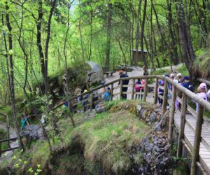 "A scuola nel Parco". Fonte: dolomitipark.it