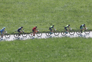 arch. Trentino MTB. Fonte: www.trentinomtb.com