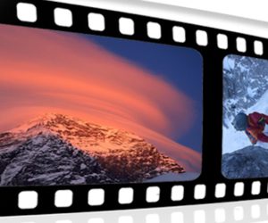 614px511-alp-movie-2016-visual-2