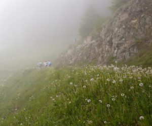 Ortler Bike Marathon 2016. Fonte: www.ortler-bikemarathon.it