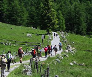 Sentiero. Fonte: rifugi.lombardia.it