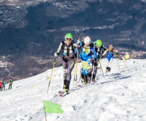 Transcavallo 2016. Fonte: press evento