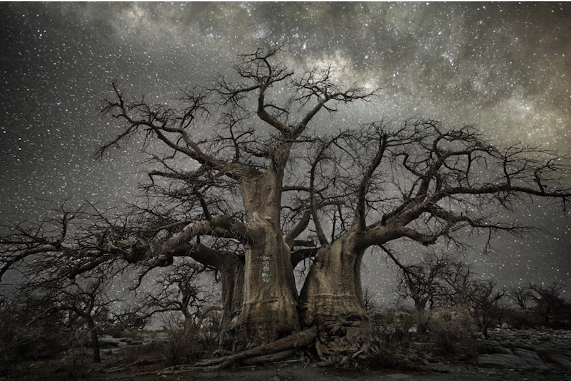 Beth Moon, Fornax, 2013, stampa al platino palladio, 81x120 cm, tratta dalla serie Diamond Nights © PH Neutro, Pietrasanta