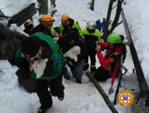 Il ritrovamento dei cuccioli. Fonte: Corpo nazionale Soccorso Alpino e Speleologico. Fonte: ANSA