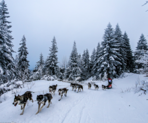 La Grande Odyssee Savoie Mont Blanc. Foto: Vincent Piccerelle