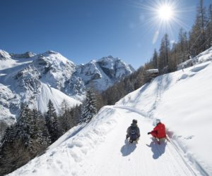 Slittino nella Valle dello Stubai, Tirolo (A). Foto: TVB Stubai Tirol/Andre Schoenherr