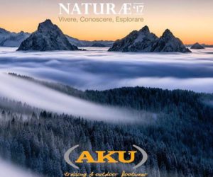 Naturae, visual 2017