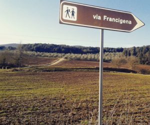 Via Francigena. Fonte: facebook