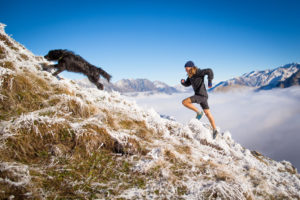 trail dog