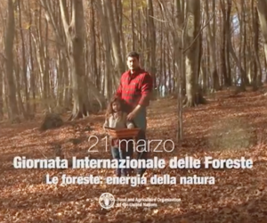 Fonte: FAO, www.youtube.com