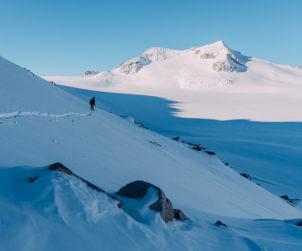 Adamello - Scialpinismo - Simone Enei