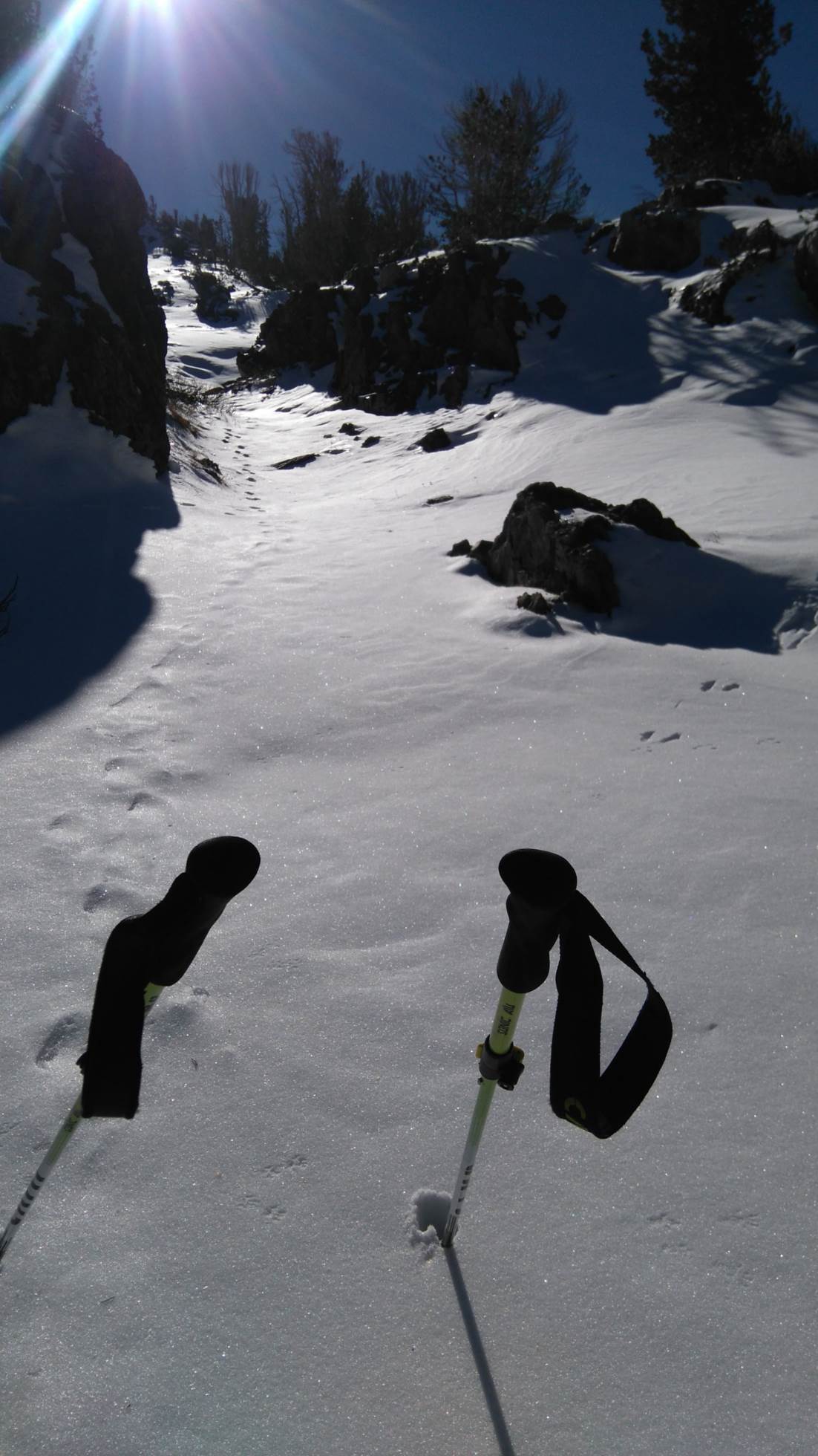 Neve troppa neve per il mio cammino, ma non sono solo