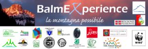 logo balmaewperience azzurro1