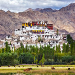 Il monastero di Thiksey, Ladakh, India