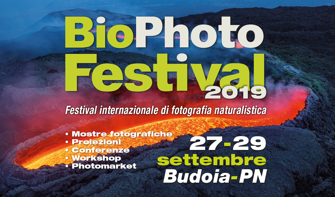 BioPhoto Festival 2019