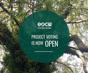 proggetto voto eoca 2021