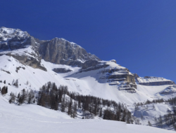 vagliana