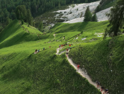 lavaredo ultra trail