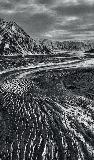 Il Manifesto del 73 Trento Film Festival