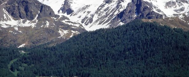 Il paese di Pejo,in alto il Monte Vioz - Fonte: Wikipedia - Autore: G. Bernardi