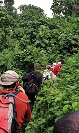 viaggio in Uganda gorilla